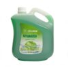 Shampoo Applet Extract 5L